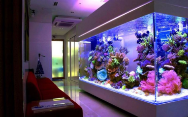 profesyonel-akvaryum-imalati-kurt-akvaryum profesyonel-akvaryum-imalati-kurt-akvaryum