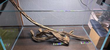 KurtAkvaryum-FooterGorselGaleri2