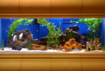 profesyonel-akvaryum-imalati-neden-onemlidir